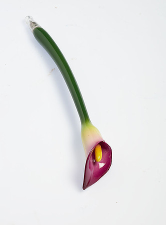 Dwi flowwer rose tulip orchidea